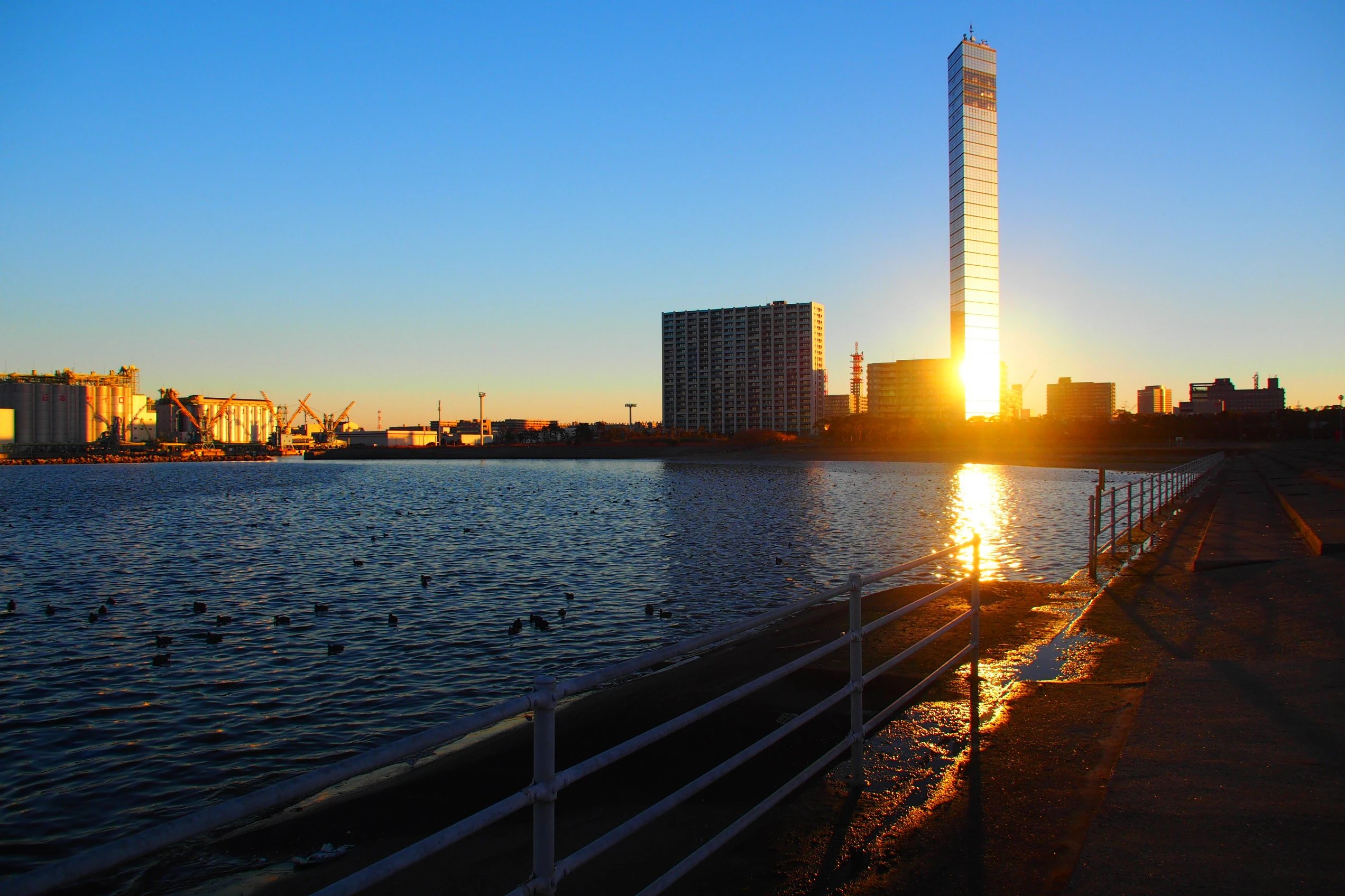 🏞️ 치바 포트 파크 이미지 7